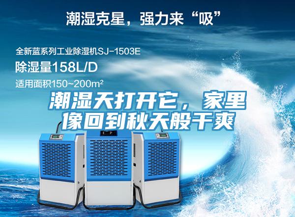 潮濕天打開它，家裏像回到秋天般幹爽