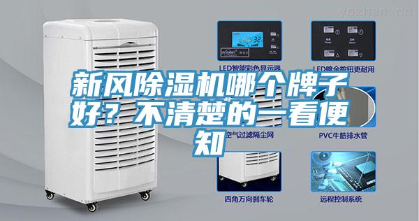 新風草莓视频污污污污哪個牌子好？不清楚的一看便知