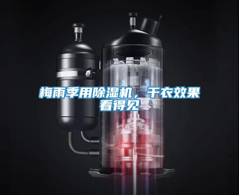梅雨季用草莓视频污污污污，幹衣效果看得見