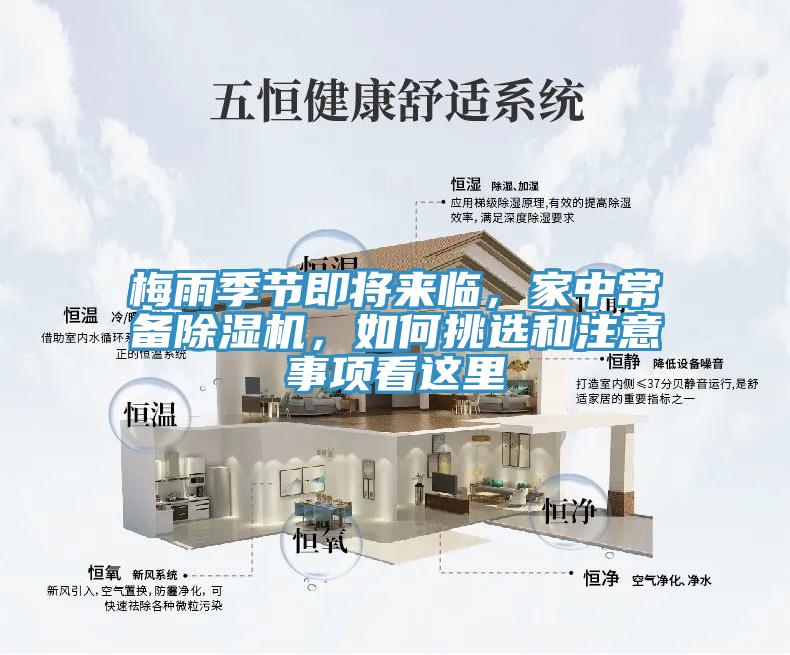 梅雨季節即將來臨，家中常備草莓视频污污污污，如何挑選和注意事項看這裏