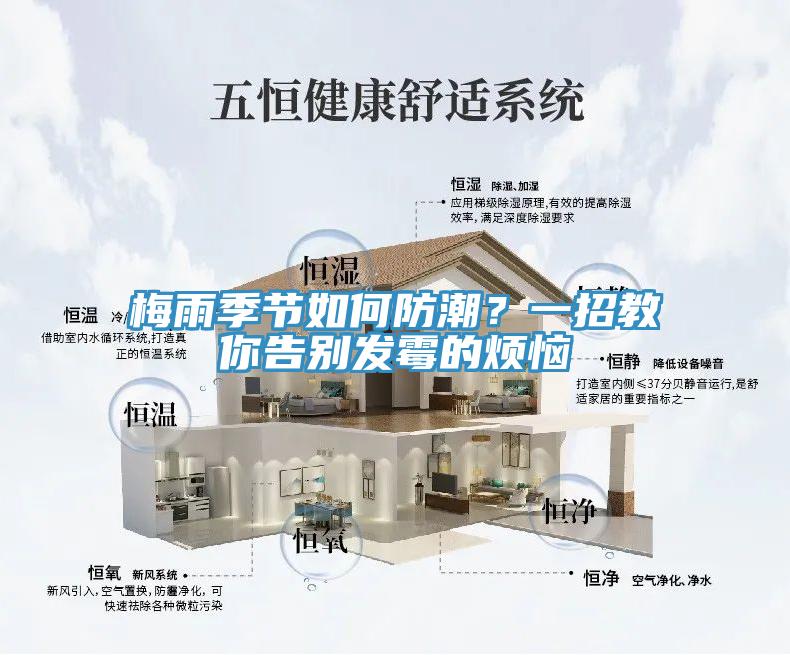 梅雨季節如何防潮？一招教你告別發黴的煩惱