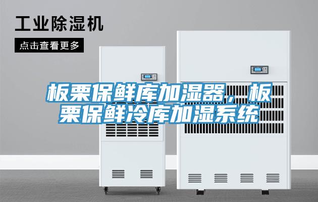 板栗保鮮庫加濕器，板栗保鮮冷庫加濕係統