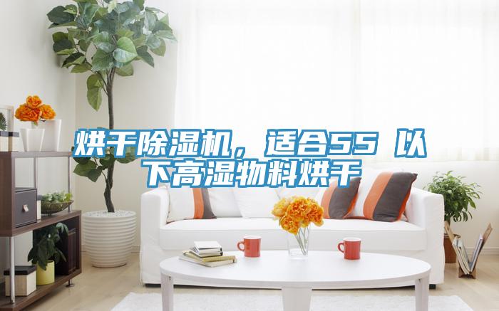 烘幹草莓视频污污污污，適合55℃以下高濕物料烘幹
