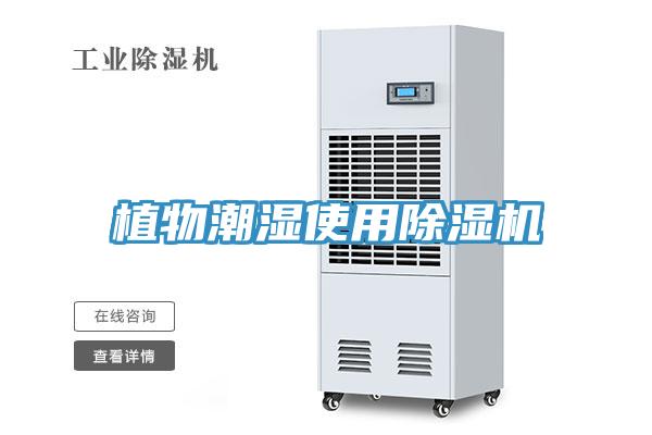 植物潮濕使用草莓视频污污污污