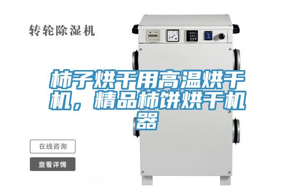 柿子烘幹用高溫烘幹機，精品柿餅烘幹機器