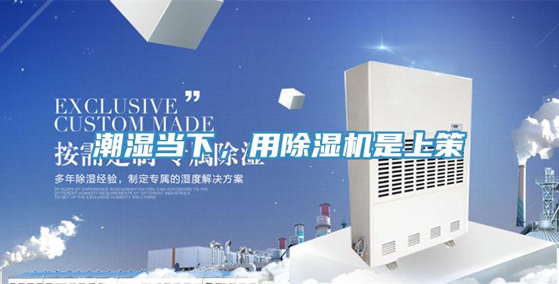 潮濕當下，用草莓视频污污污污是上策