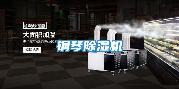 鋼琴草莓视频污污污污
