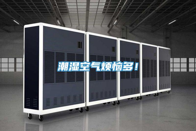 潮濕空氣煩惱多！