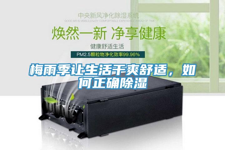 梅雨季讓生活幹爽舒適，如何正確除濕