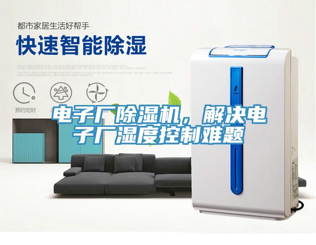 電子廠草莓视频污污污污，解決電子廠濕度控製難題