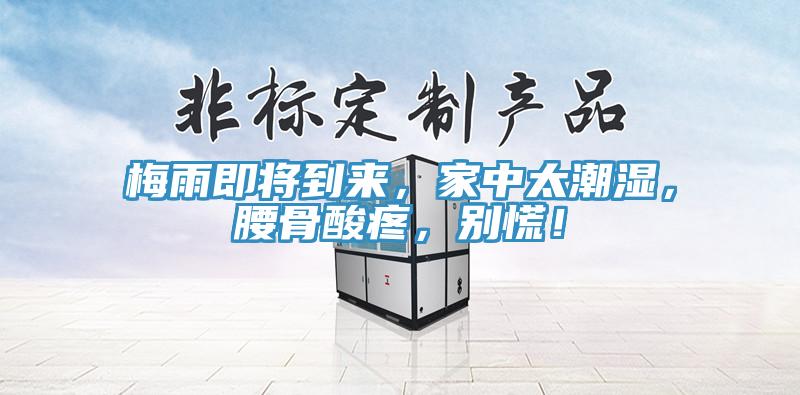 梅雨即將到來，家中太潮濕，腰骨酸疼，別慌！