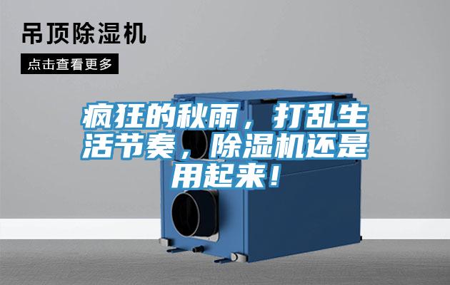 瘋狂的秋雨，打亂生活節奏，草莓视频污污污污還是用起來！