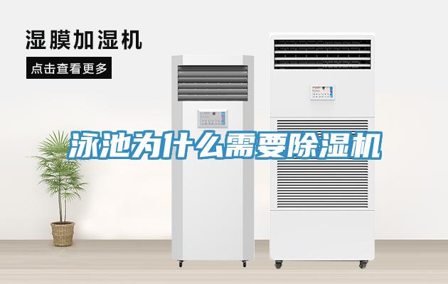 泳池為什麽需要草莓视频污污污污