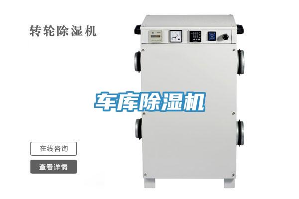 車庫草莓视频污污污污