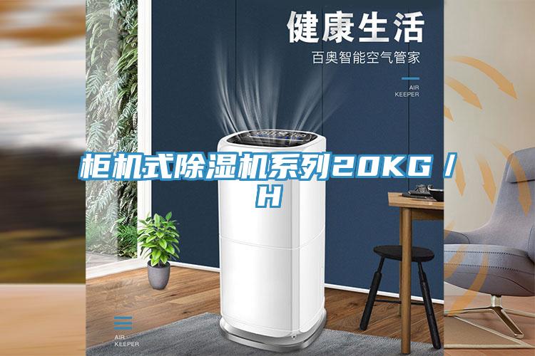 櫃機式草莓视频污污污污係列20KG／H