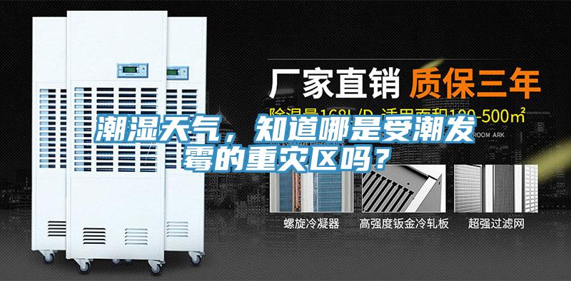 潮濕天氣，知道哪是受潮發黴的重災區嗎？
