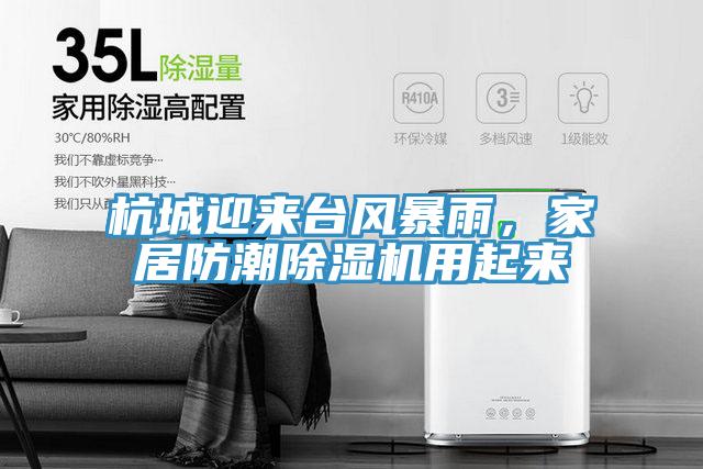 杭城迎來台風暴雨，家居防潮草莓视频污污污污用起來