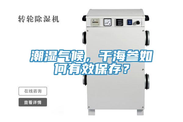 潮濕氣候，幹海參如何有效保存？
