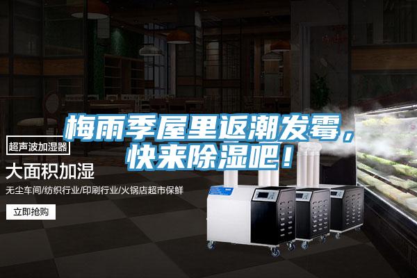 梅雨季屋裏返潮發黴，快來除濕吧！
