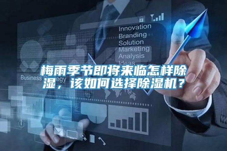 梅雨季節即將來臨怎樣除濕，該如何選擇草莓视频污污污污？