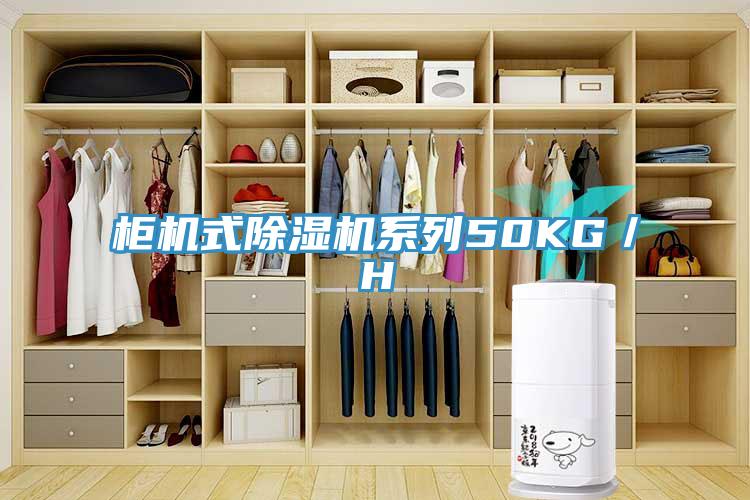 櫃機式草莓视频污污污污係列50KG／H
