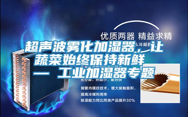 超聲波霧化加濕器，讓蔬菜始終保持新鮮 — 工業加濕器專題