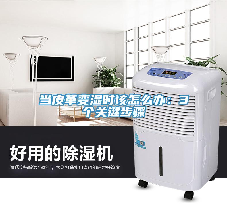 當皮革變濕時該怎麽辦：3個關鍵步驟