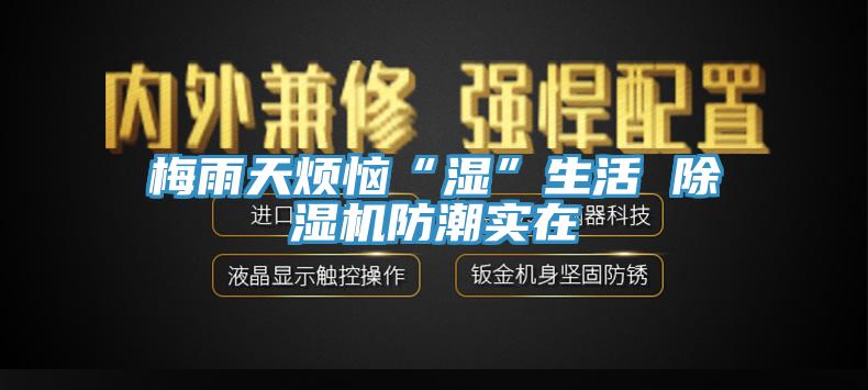 梅雨天煩惱“濕”生活 草莓视频污污污污防潮實在