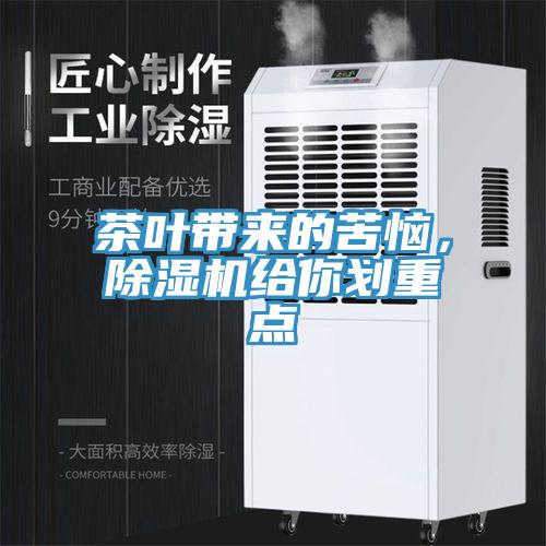 茶葉帶來的苦惱，草莓视频污污污污給你劃重點