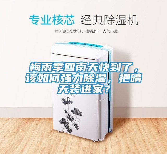 梅雨季回南天快到了，該如何強力除濕，把晴天裝進家？