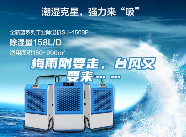 梅雨剛要走，台風又要來……