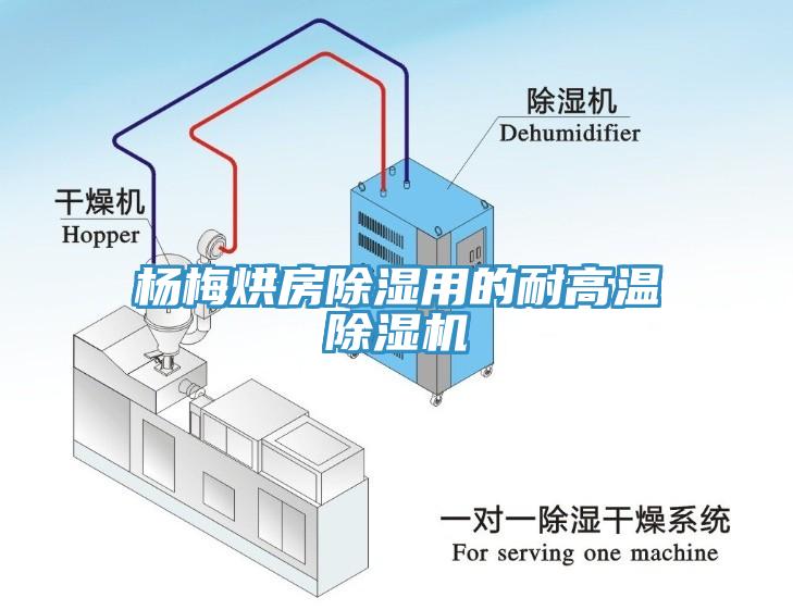 楊梅烘房除濕用的耐高溫草莓视频污污污污