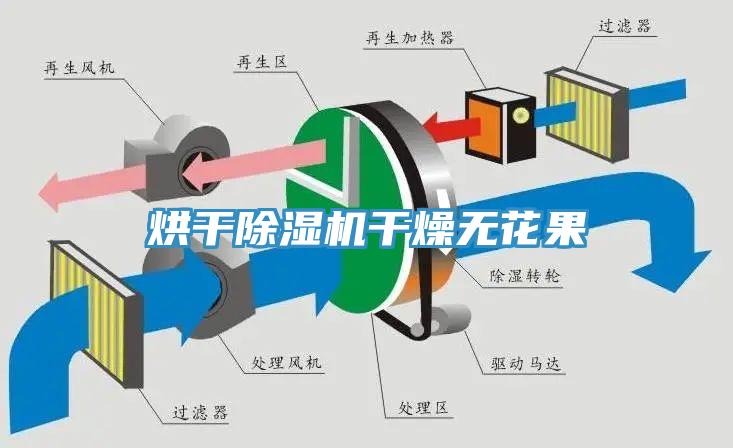 烘幹草莓视频污污污污幹燥無花果