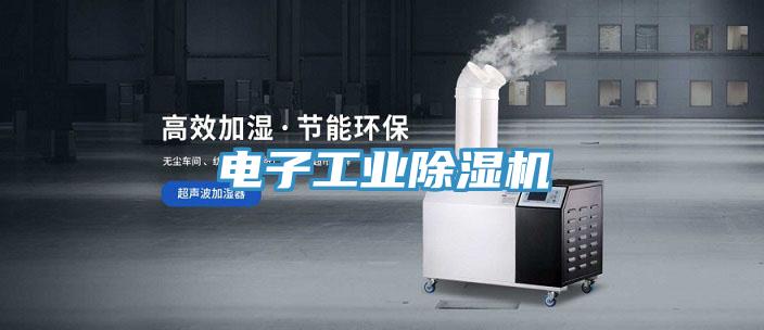 電子工業草莓视频污污污污