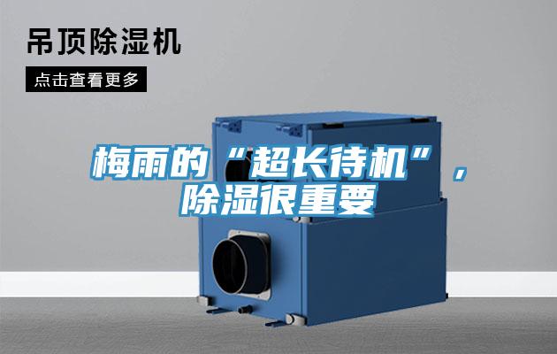 梅雨的“超長待機”，除濕很重要