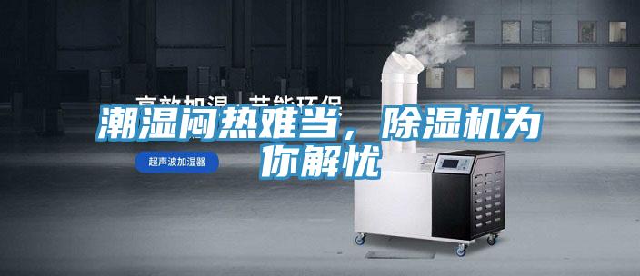潮濕悶熱難當，草莓视频污污污污為你解憂