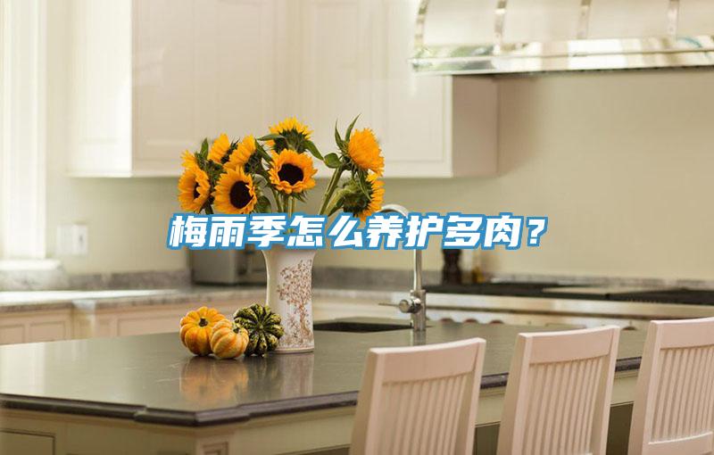 梅雨季怎麽養護多肉？