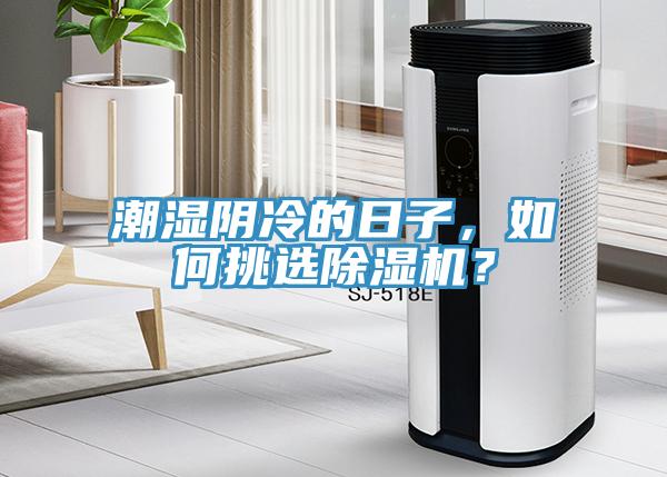 潮濕陰冷的日子，如何挑選草莓视频污污污污？