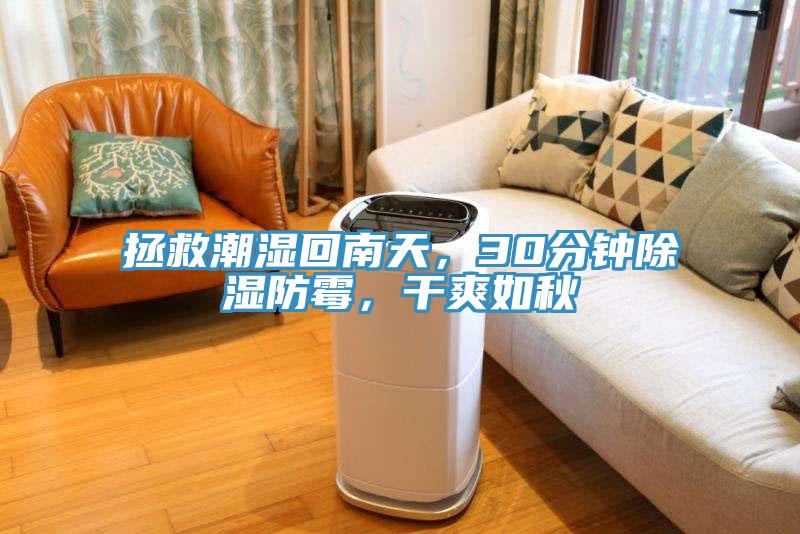 拯救潮濕回南天，30分鍾除濕防黴，幹爽如秋