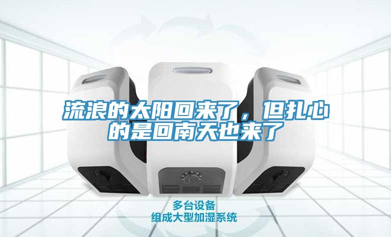 流浪的太陽回來了，但紮心的是回南天也來了