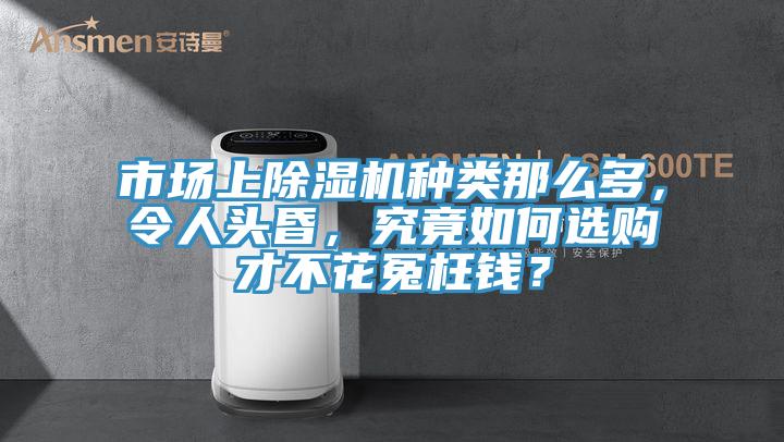市場上草莓视频污污污污種類那麽多，令人頭昏，究竟如何選購才不花冤枉錢？