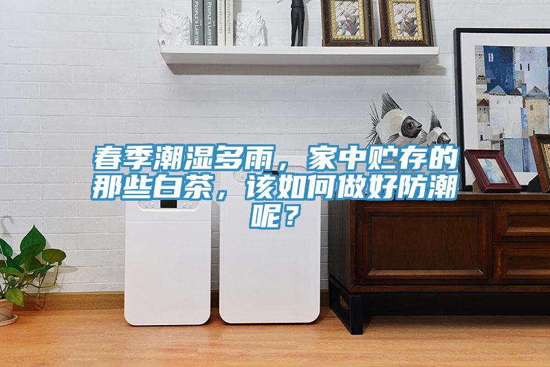 春季潮濕多雨，家中貯存的那些白茶，該如何做好防潮呢？