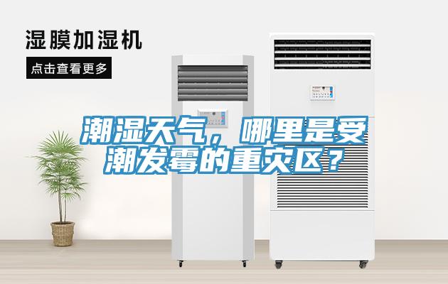 潮濕天氣，哪裏是受潮發黴的重災區？