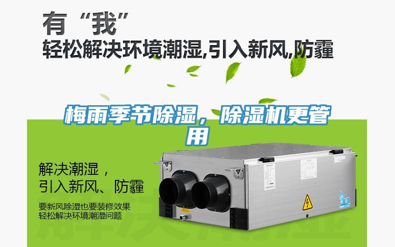 梅雨季節除濕，草莓视频污污污污更管用