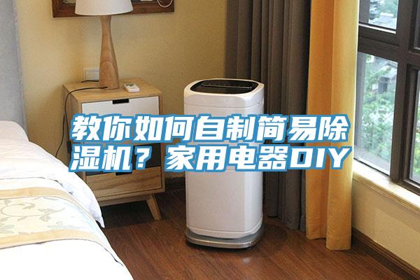 教你如何自製簡易草莓视频污污污污？家用電器DIY