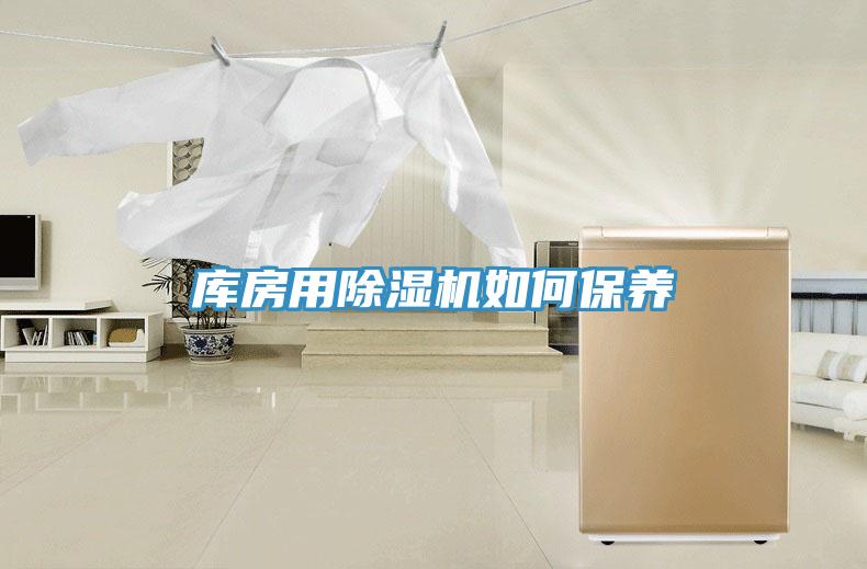庫房用草莓视频污污污污如何保養