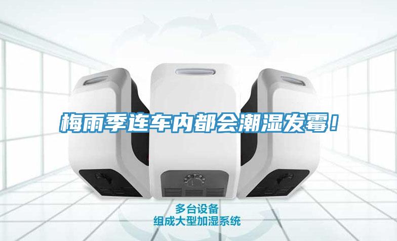 梅雨季連車內都會潮濕發黴！
