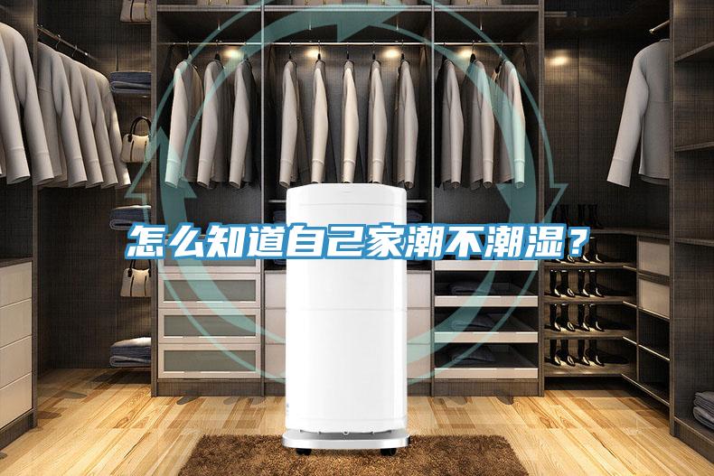怎麽知道自己家潮不潮濕？