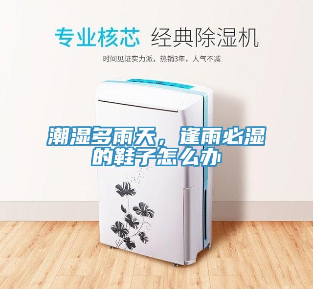 潮濕多雨天，逢雨必濕的鞋子怎麽辦