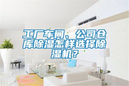 工廠車間、公司倉庫除濕怎樣選擇草莓视频污污污污？